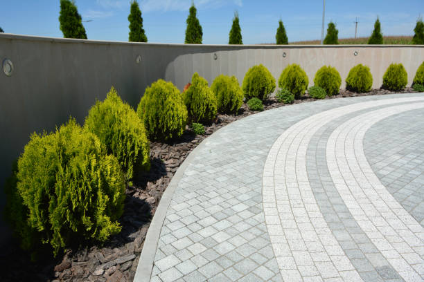 Best Affordable Driveway Paving  in Waialua, HI